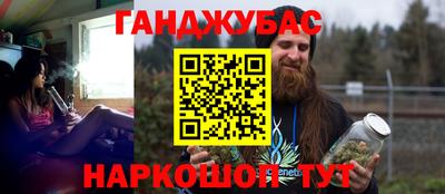крисы Моздок
