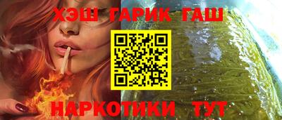 крисы Моздок